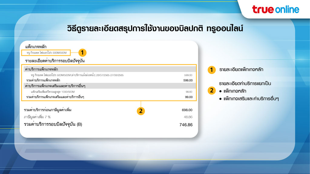 วิธีดูรายละเอียดสรุปการใช้งานของบิลปกติ ทรูออนไลน์